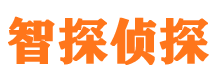 宝丰市侦探调查公司